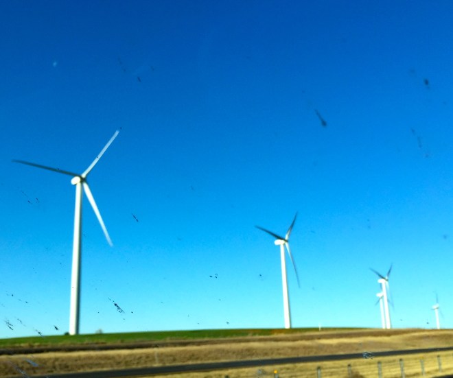 windmills.JPG